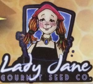 LadyJane